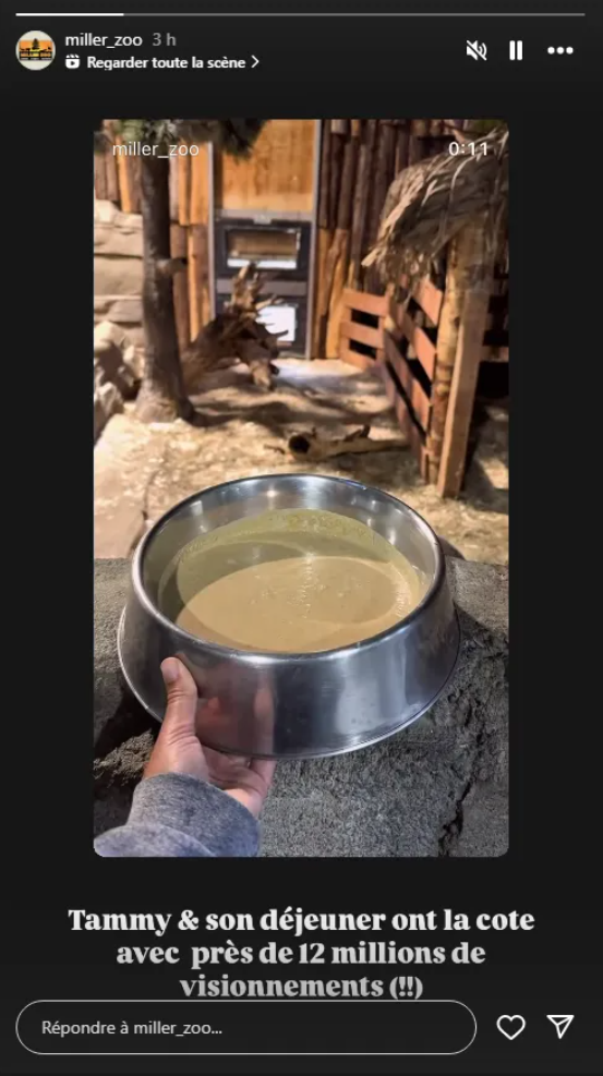Capture decran 2025 03 12 201157 Une vidéo du Miller Zoo fait sensation et les internautes réagissent