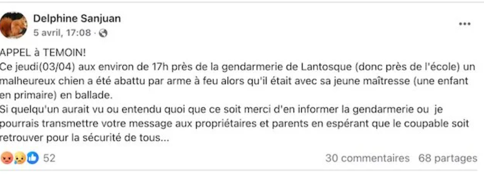Le chien d'une fillette de 6 ans tué sous ses yeux, en pleine sortie 2 Le chien d'une fillette de 6 ans tué sous ses yeux, en pleine sortie Capture decran 2025 04 10 131156 Le chien d'une fillette de 6 ans tué sous ses yeux, en pleine sortie