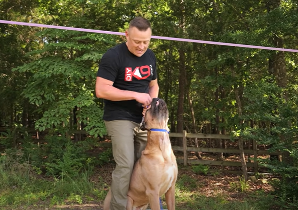 Capture decran 2025 09 27 120855 Comment ARRÊTER une attaque de chien en 3 secondes