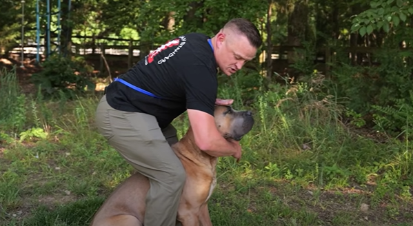 Capture decran 2025 09 27 121003 Comment ARRÊTER une attaque de chien en 3 secondes
