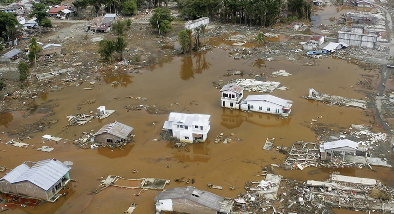 Capture decran le 2025 10 14 a 11.57.55 Baba Vanga : ses prédictions effrayantes pour 2026 annoncent une année de chaos mondial