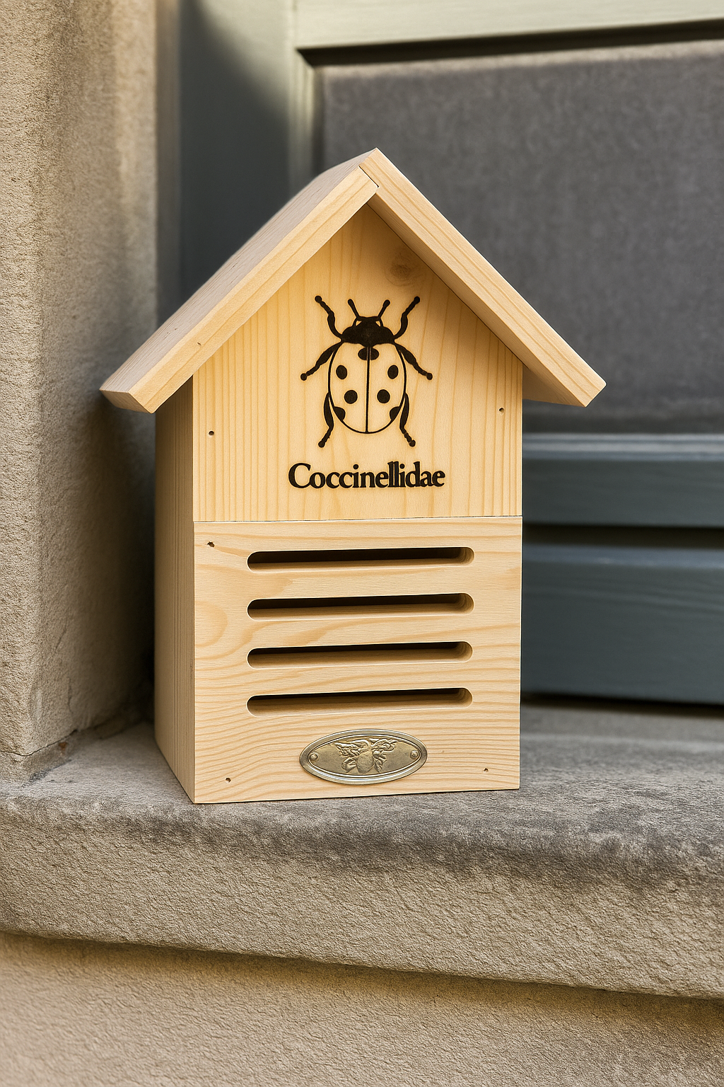 coccinnn Infestation de coccinelles : comment s’en débarrasser rapidement dans la maison