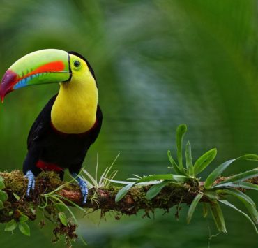 9 astuces incontournables pour voyager à petit prix en Amérique du Sud 3 9 astuces incontournables pour voyager à petit prix en Amérique du Sud 9 astuces incontourrnables pour economiser en voyage en Amerique du Sud 9 astuces incontournables pour voyager à petit prix en Amérique du Sud