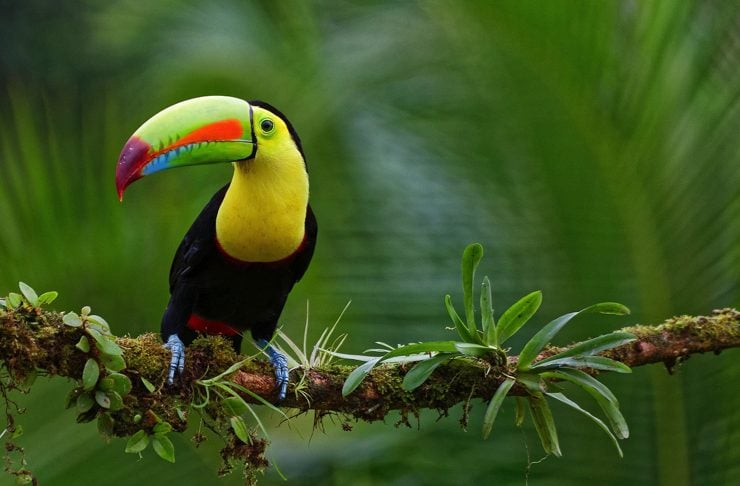 9 astuces incontourrnables pour economiser en voyage en Amerique du Sud 9 astuces incontournables pour voyager à petit prix en Amérique du Sud