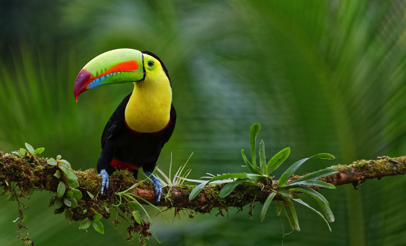 9 astuces incontournables pour voyager à petit prix en Amérique du Sud 1 9 astuces incontournables pour voyager à petit prix en Amérique du Sud 9 astuces incontourrnables pour economiser en voyage en Amerique du Sud 9 astuces incontournables pour voyager à petit prix en Amérique du Sud