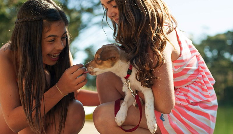 Comment éduquer son chien en seulement 15 minutes par jour ? 2 Comment éduquer son chien en seulement 15 minutes par jour ? comment bien dresser un chien Comment éduquer son chien en seulement 15 minutes par jour ?