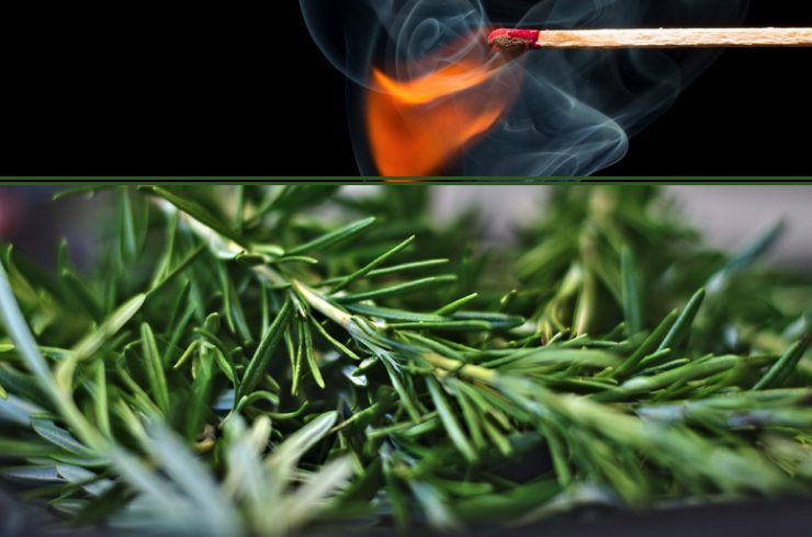 faire bruler romarin pourquoi Pourquoi brûler du romarin dans sa maison ?