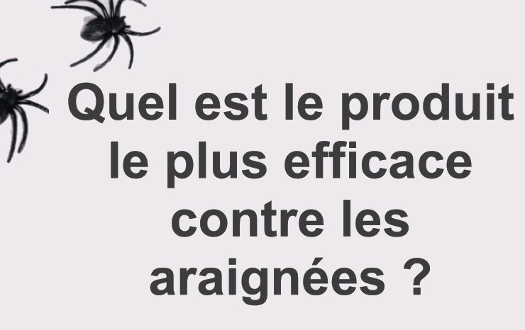 Comment se debarrasser araignee Quel est le produit le plus efficace contre les araignées ?