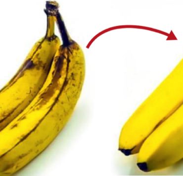 astuce garder banane Comment conserver les bananes plus longtemps ? 6 astuces méconnues