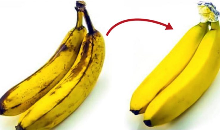 astuce garder banane Comment conserver les bananes plus longtemps ? 6 astuces méconnues