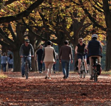 Comment profiter au maximum de l'automne ? 3 Comment profiter au maximum de l'automne ? automne idee activite Comment profiter au maximum de l'automne ?