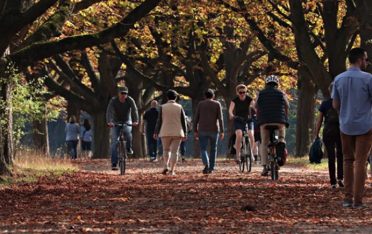 automne idee activite Comment profiter au maximum de l'automne ?