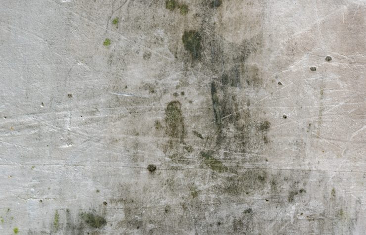 comment enlever moisissure Comment enlever de la moisissure sur les murs ?