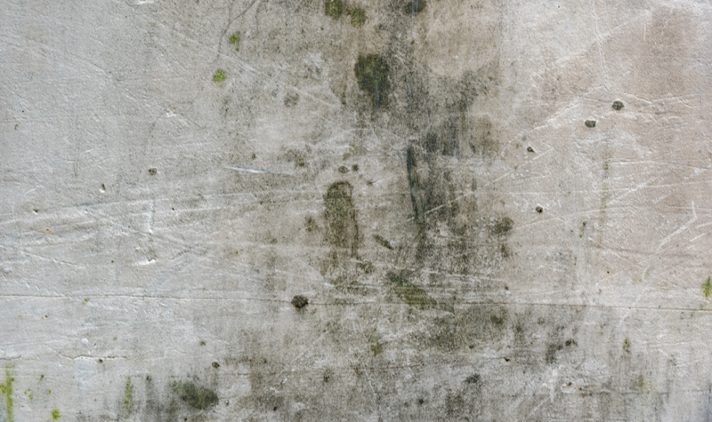 Comment enlever de la moisissure sur les murs ? 1 Comment enlever de la moisissure sur les murs ? comment enlever moisissure Comment enlever de la moisissure sur les murs ?