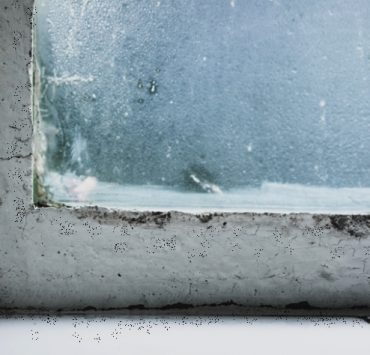 Comment enlever la moisissure sur les fenêtres ? 3 Comment enlever la moisissure sur les fenêtres ? fenetre moisissure Comment enlever la moisissure sur les fenêtres ?