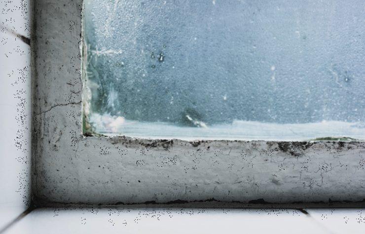 fenetre moisissure Comment enlever la moisissure sur les fenêtres ?