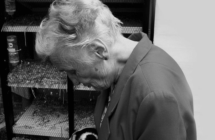 maladie Alzheimer personnes agees Quels sont les symptômes de la maladie d'Alzheimer?