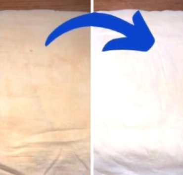 nettoyer oreiller Comment faire revenir un oreiller blanc ?