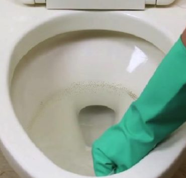 nettoyer toilette tres sale Comment nettoyer des toilettes très sales ?