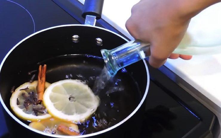 odeur maison Comment faire pour que votre maison sente toujours bon ? 🏠🌿🌸