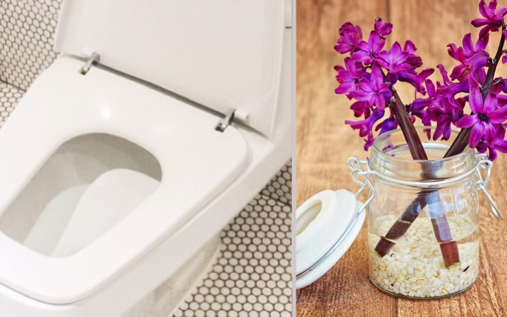 parfum toilette od Quel est le meilleur parfum, et désodorisant, pour les toilettes ?