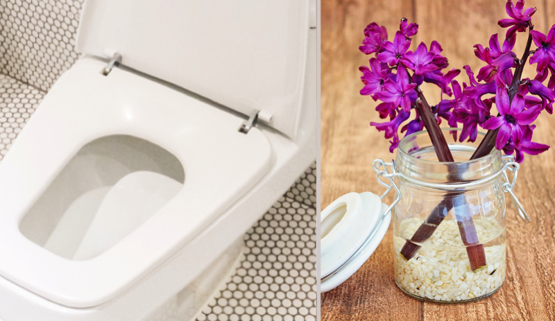 Quel est le meilleur parfum, et désodorisant, pour les toilettes ? 1 Quel est le meilleur parfum, et désodorisant, pour les toilettes ? parfum toilette od Quel est le meilleur parfum, et désodorisant, pour les toilettes ?