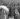 phobies peur dans le monde Les 8 Phobies les plus courantes : comment les identifier et les surmonter