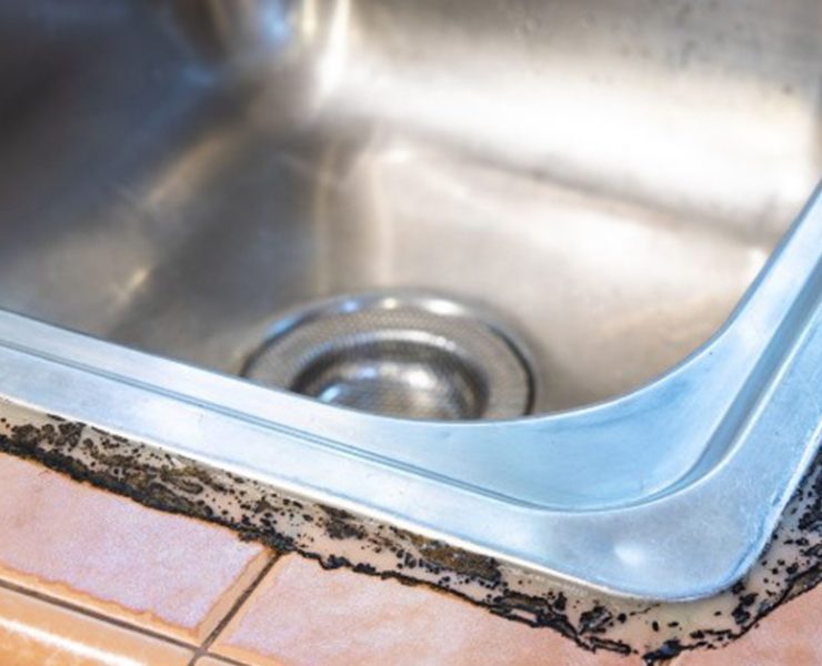 siicone "Nettoyez le silicone moisi en un temps record : découvrez notre astuce infaillible !"