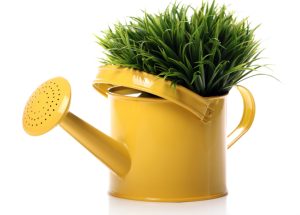 Comment savoir si une plante a besoin d'eau ? 2 Comment savoir si une plante a besoin d'eau ? arrosoir a trous pour plantes Comment savoir si une plante a besoin d'eau ?