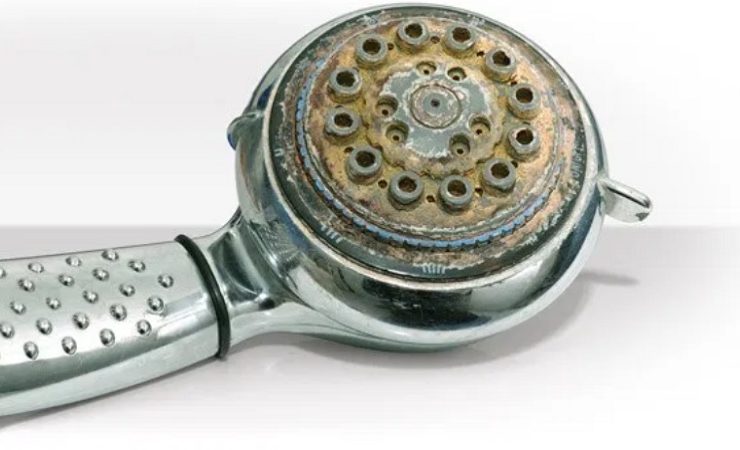 astuce pommeau douche Comment nettoyer les trous du pommeau de douche ?