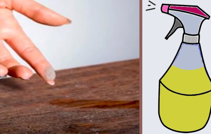 astuce poussiere maison Quel est le meilleur produit pour enlever la poussière ?