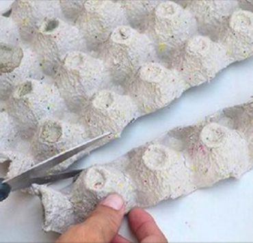 Quoi faire avec des boîtes d'oeufs vides ? 16 idées pour les réutiliser 3 Quoi faire avec des boîtes d'oeufs vides ? 16 idées pour les réutiliser boite oeuf astuce Quoi faire avec des boîtes d'oeufs vides ? 16 idées pour les réutiliser