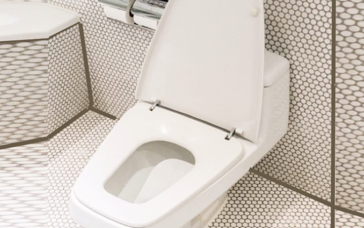 bonne toilette Quelles sont les qualités d'une bonne toilette ?