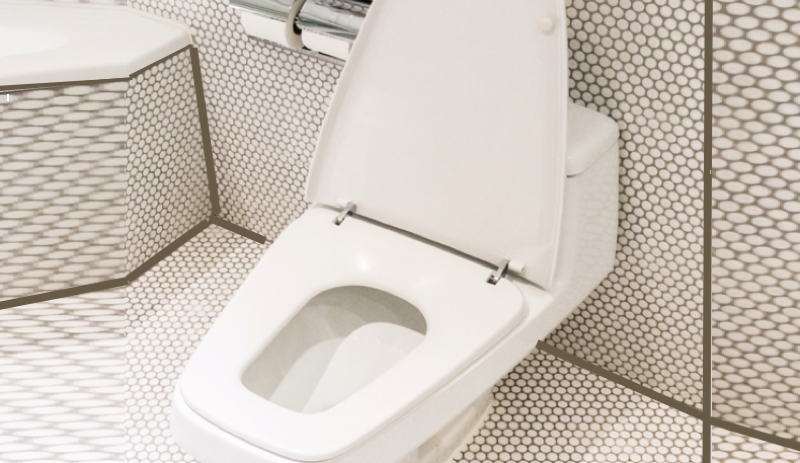 Quelles sont les qualités d'une bonne toilette ? 1 Quelles sont les qualités d'une bonne toilette ? bonne toilette Quelles sont les qualités d'une bonne toilette ?