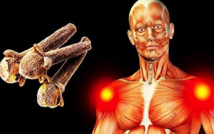 clous girofle Pourquoi manger 2 clous de girofle par jour ?