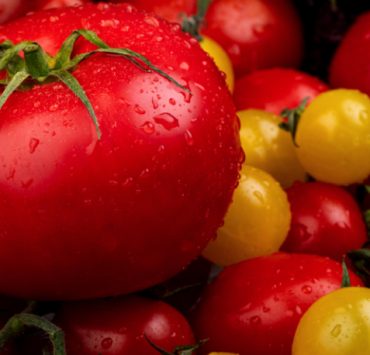 Comment conserver des tomates plusieurs mois ? 3 Comment conserver des tomates plusieurs mois ? conserver tomate longtemps Comment conserver des tomates plusieurs mois ?
