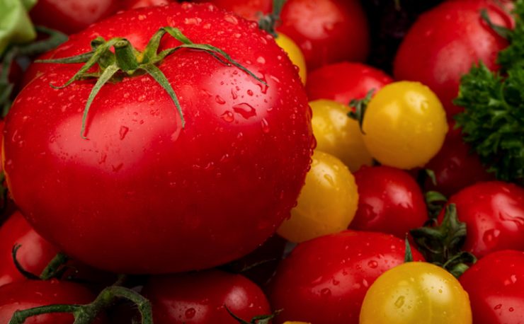 conserver tomate longtemps Comment conserver des tomates plusieurs mois ?