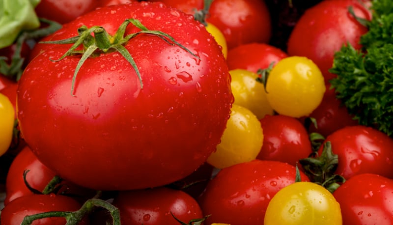 Comment conserver des tomates plusieurs mois ? 1 Comment conserver des tomates plusieurs mois ? conserver tomate longtemps Comment conserver des tomates plusieurs mois ?