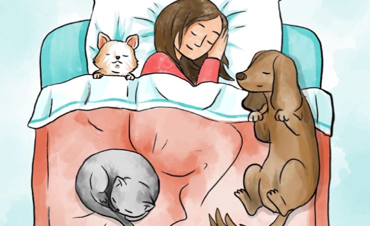dormir avec chat chien Est-ce bon de dormir avec son chien ou son chat ?