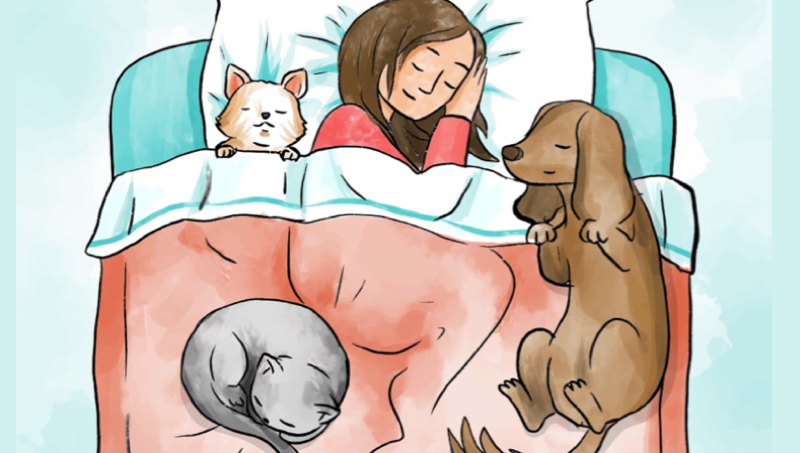 Est-ce bon de dormir avec son chien ou son chat ? 1 Est-ce bon de dormir avec son chien ou son chat ? dormir avec chat chien Est-ce bon de dormir avec son chien ou son chat ?
