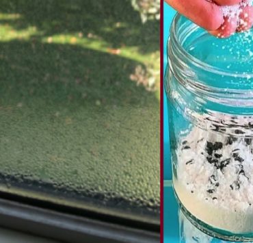 Comment faire baisser le taux d'humidité ? 2 Comment faire baisser le taux d'humidité ? faire baisser taux humidite Comment faire baisser le taux d'humidité ?