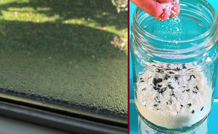 faire baisser taux humidite Comment faire baisser le taux d'humidité ?