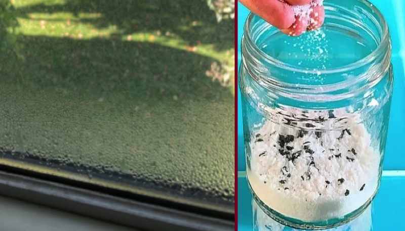 Comment faire baisser le taux d'humidité ? 1 Comment faire baisser le taux d'humidité ? faire baisser taux humidite Comment faire baisser le taux d'humidité ?