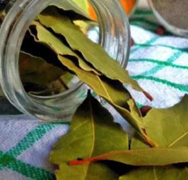 feuille de laurier foie Comment nettoyer le foie avec une feuille de laurier ?