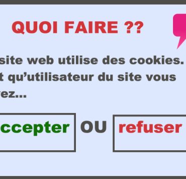Pourquoi doit-on accepter ou refuser les cookies sur internet ? 2 Pourquoi doit-on accepter ou refuser les cookies sur internet ? les cookies sur internet quoi faire Pourquoi doit-on accepter ou refuser les cookies sur internet ?