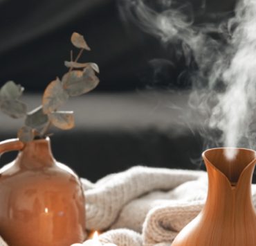 🏠 Comment humidifier l'air de la maison sans humidificateur ? 💦 2 🏠 Comment humidifier l'air de la maison sans humidificateur ? 💦 maison air humide trop sec 🏠 Comment humidifier l'air de la maison sans humidificateur ? 💦