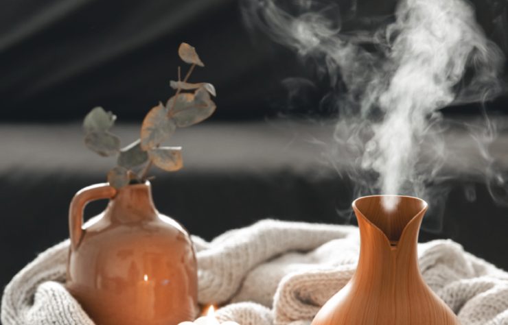 maison air humide trop sec 🏠 Comment humidifier l'air de la maison sans humidificateur ? 💦