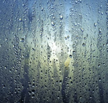 Quel est le meilleur absorbeur d'humidité naturel ? 3 Quel est le meilleur absorbeur d'humidité naturel ? meilleur absorbeur d humidite naturel efficace Quel est le meilleur absorbeur d'humidité naturel ?