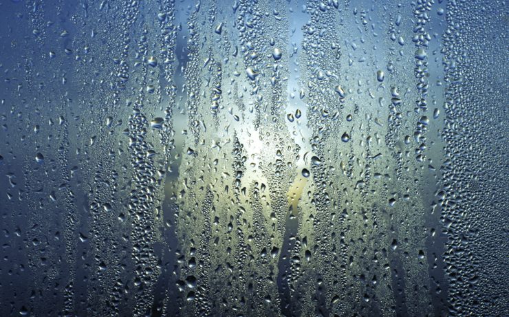 meilleur absorbeur d humidite naturel efficace Quel est le meilleur absorbeur d'humidité naturel ?