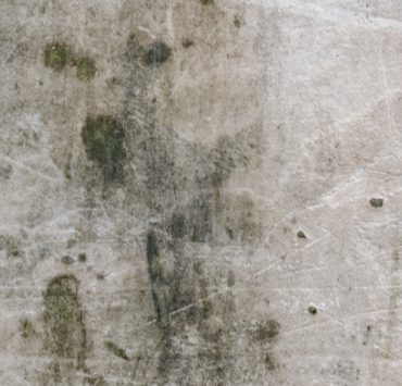 Comment faire partir la moisissure sur les tissus ? 3 Comment faire partir la moisissure sur les tissus ? moisissure linge astuce naturelle Comment faire partir la moisissure sur les tissus ?